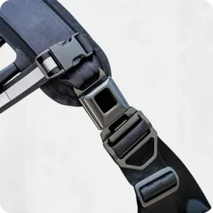 Buckle Accessory Detail