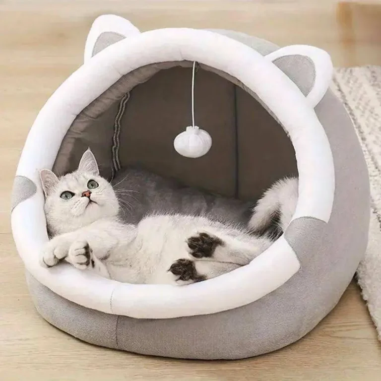 Cute Cat Ear Semi-Enclosed Cat Bed with Hanging Toy